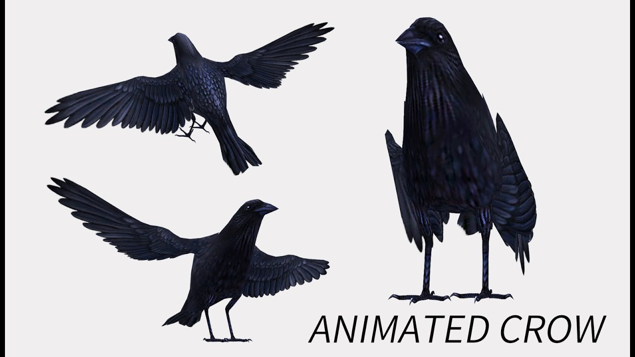 Анимированная низкополигональная ворона 3D Модель