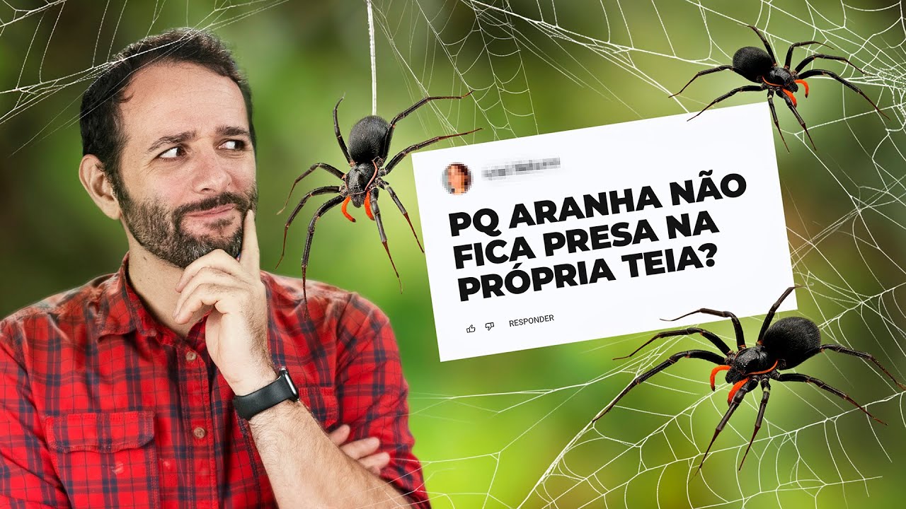 Por que ARANHA não fica presa na PRÓPRIA TEIA? Iberê responde!
