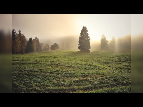 Grup Tezaur - Dumnezeu va lucra