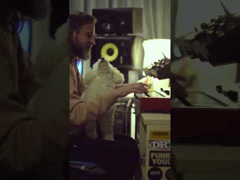 Projdi vilo (remix) PERFORMANCE VIDEO #shorts