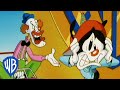Animaniacs Wakko S Worst Nightmare Classic Cartoon WB Kids