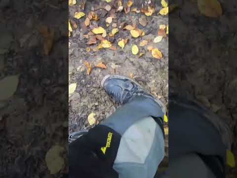 Thumbnail for I ride my BMW HP2 Enduro on a deep mud section with my moskomoto bags. #bmw #bmwmotorrad #bmwgs by BMW HP2 Enduro