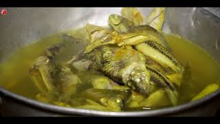 Download lagu Suku Dayak || di Pondok Hutan Kalimantan saat berburu ikan mp3 Download lagu Suku Dayak || di Pondok Hutan Kalimantan saat berburu ikan mp3