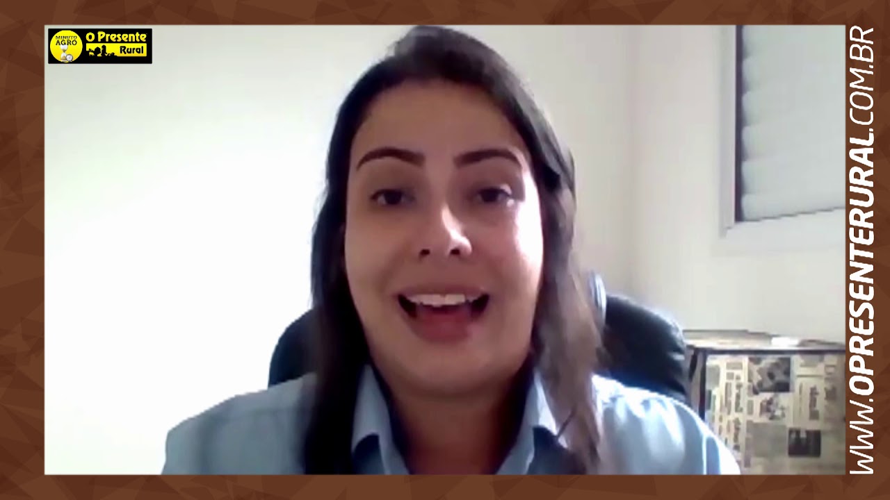 O processo de fermentação da silagem – Minuto Agro Bovinos