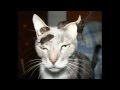 Ken Nordine - Original Sin