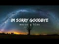 Im sorry goodbye - Mario G klau - cover (Official lyrics)