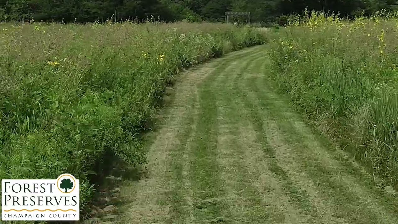 Hiking Trails Champaign County Forest Preserve District
