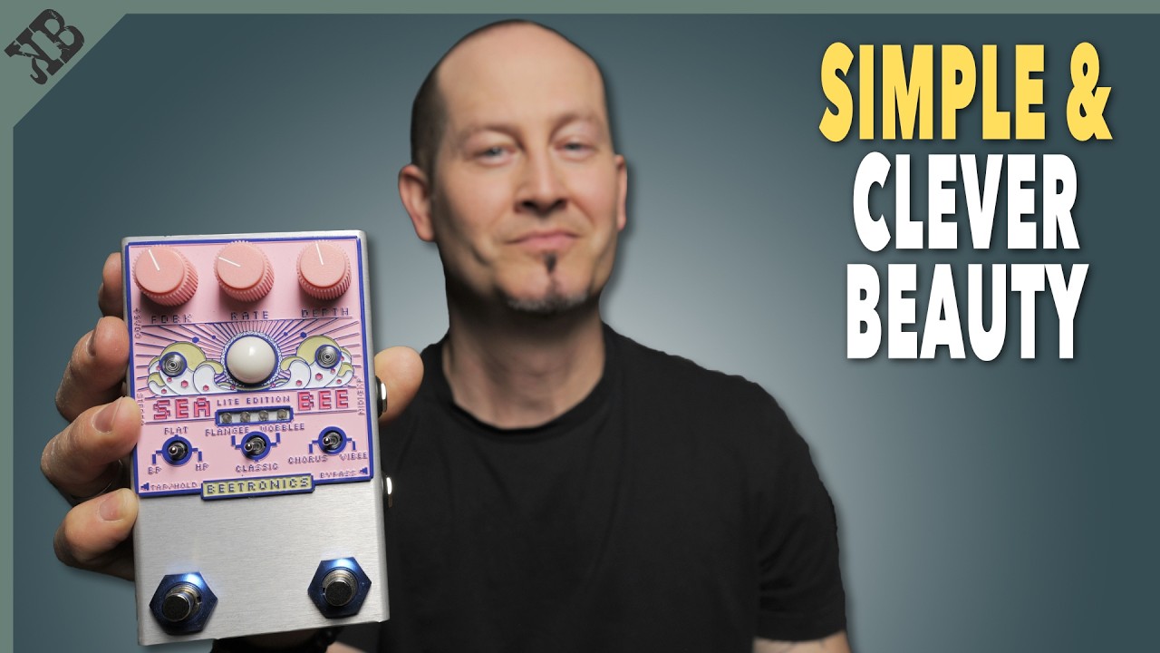 This Pedal Should've Existed Already... | Beetroincs SeaBee Lite - YouTube