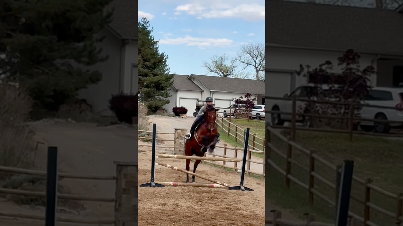 Anyone going to college camps this week?!