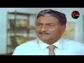 Mega Star Chiranjeevi and Radha Super Hit Scene | ఒక మగాడిని ఇంత దారుణంగా రే** చేసిందా.? Navvula TV - Video