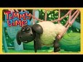 Sweet Dreams Timmy Timmy Time Full Episode