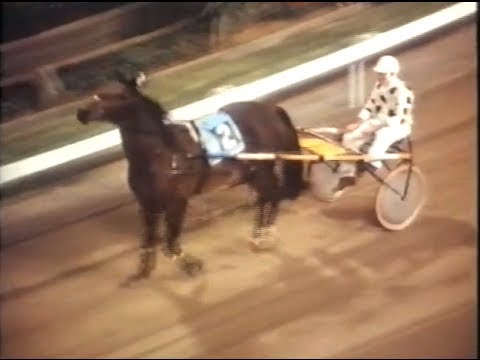 Harness Racing,Harold Park-06/04/1979 Miracle Mile (The Scotsman-G.Sparkes)