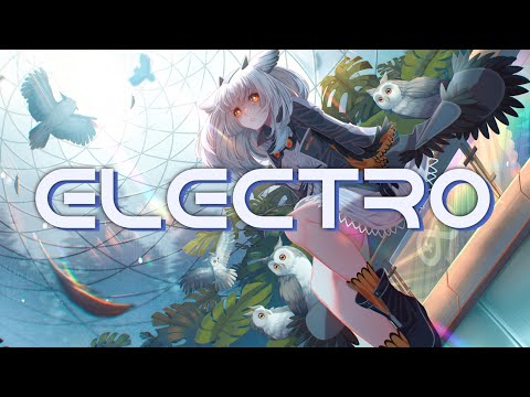 SR341 & Arii - Airstrike