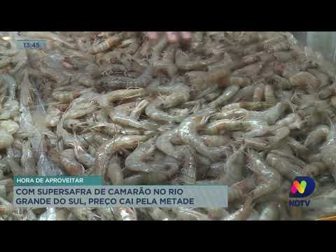 Com supersafra de camarão no Rio Grande do Sul, preço cai pela metade