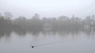 preview picture of video 'FULL HD1080p FREE STOCK FOOTAGE (Weisser See)'