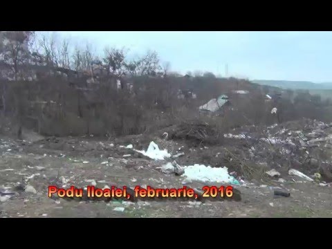 Oraș Podu Iloaiei, 2016