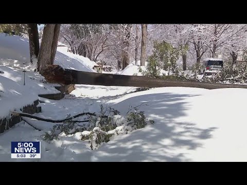 Twin Cities residents dig out after early spring storm