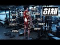 하체운동의 모든 것을 이 영상에 담았습니다. (머슬아나토미)