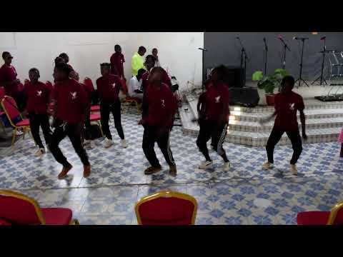 TEAM YOUNG FLYING ANGELS