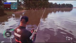 Bassmaster Fishing 2022 Good kitty