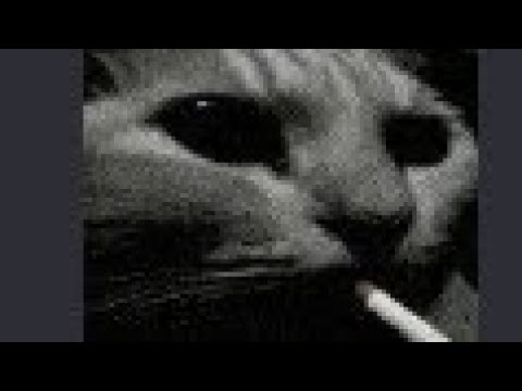 Royal Rat Vanguard - SL1 CoC No Roll/Block/Parry (Flawless)