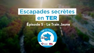 A la découverte du train jaune !