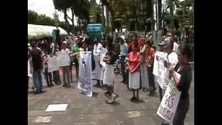preview picture of video '2DO. MOVIMIENTO #YOSOY132 MARCHA ANTI-ENP, HUATUSCO HACE HISTORIA PARTE 1'