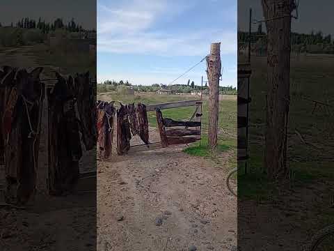 Conose Eco Robert LANDSen General Conesa , Rionegro  Patagonia Argentina tierra de Gigantes y 🛸