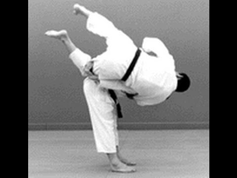 Perfect throw a judo story