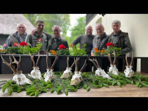 Erlegung am Moor - Abschluss des Videotagebuches