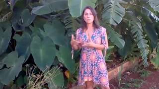 Treatment of black water-Basin evapotranspiration