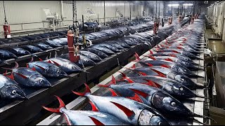 Download lagu Extreme & Ultra-Clean! Korea’s Mega Seafood Factory Compilation  (full process) mp3