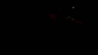 小犬唱月亮代表誰的心