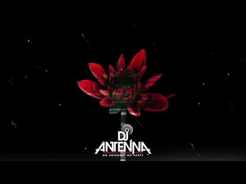 Me, My Crazy Self & I(ANTENNA's Mainstream Mash-up)