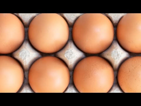 2nd YouTube video about how long can eggs survive without their mother on them