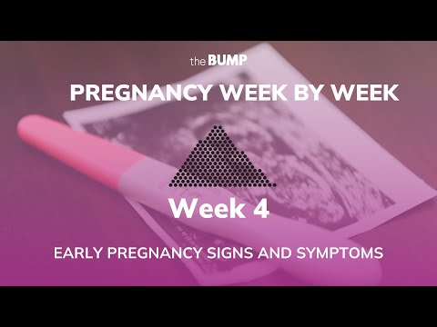 Pregnancy Week 4 | Early Pregnancy Signs and Symptoms | Pregnancy Week By Week