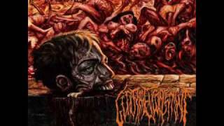 Guttural Engorgement - Cadaveric Maggot Copulation