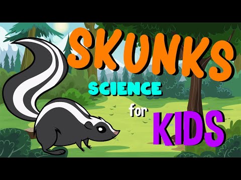 Skunks | Science for Kids