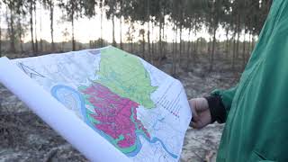 Zonagem: Onde é que o Eucalipto mais Cresce e Porquê?