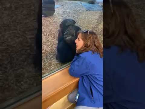 Visiting Nick, Jamie, and Twiggy at the San Francisco Zoo!