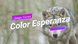 Color Esperanza - Diego Torres (Letra) - Alegra tu día