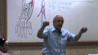 Dr.Medhat [Upper] 21/11/2013