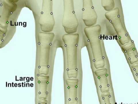 Electrodermal Screening - YouTube