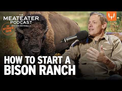 Bizón americký (Bison bison) — video o chove a starostlivosti
