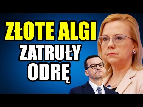 ZŁOTE ALGI załatwiły Odrę...