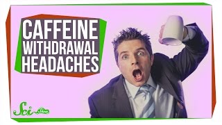 Why Does Skipping Coffee Give Me Headaches?