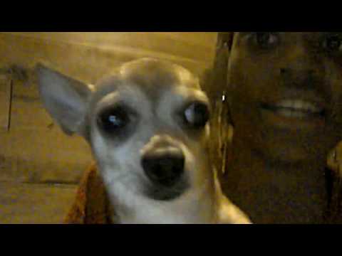 Amy Winehouse Stronger Than Me (Cover)