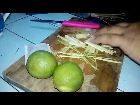 download lagu mp3 mp4 Cara Diet Dengan Jeruk Nipis Sereh Dan Teh, download lagu Cara Diet Dengan Jeruk Nipis Sereh Dan Teh gratis, unduh video klip Cara Diet Dengan Jeruk Nipis Sereh Dan Teh