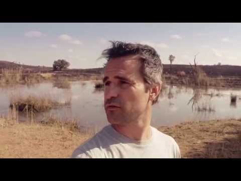 FIRE At The Sanctuary | The Lion Whisperer