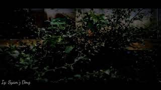 Download lagu Lain Puisi perihal hirup mp3